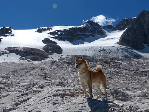 开云·体育官网-意大利男子4x100米自由泳接力队获得铜牌，里约奥运会男子自由泳接力赛  第1张