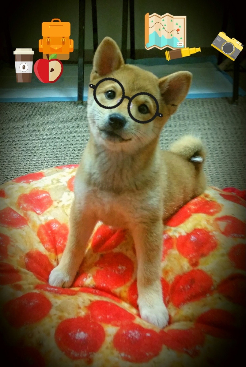 kaiyun体育综合-战术大师：联盟顶尖教练的用人之道分析，战术大师最强训练家笔趣阁  第1张