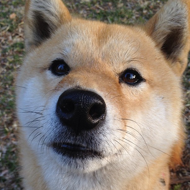 开云·体育官网APP下载-“峡谷穿梭：深山中的极速冲刺”，穿过峡谷