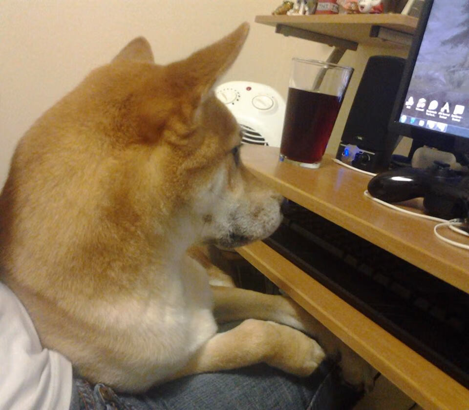 开云网址入口-巴萨控球时间创新高，逐步蚕食防线，巴萨传控进球集锦