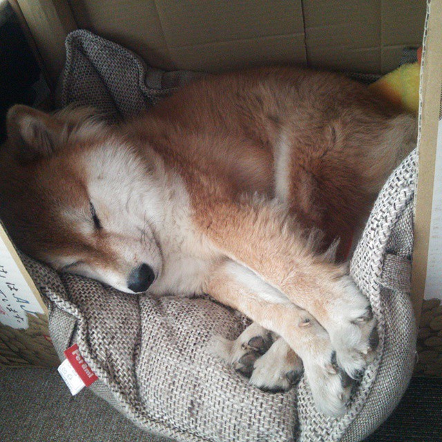 开云体育官方网站登陆-摩洛哥队在巴黎奥运会男足比赛中展现出强大的远射能力，摩洛哥男足阵容  第3张